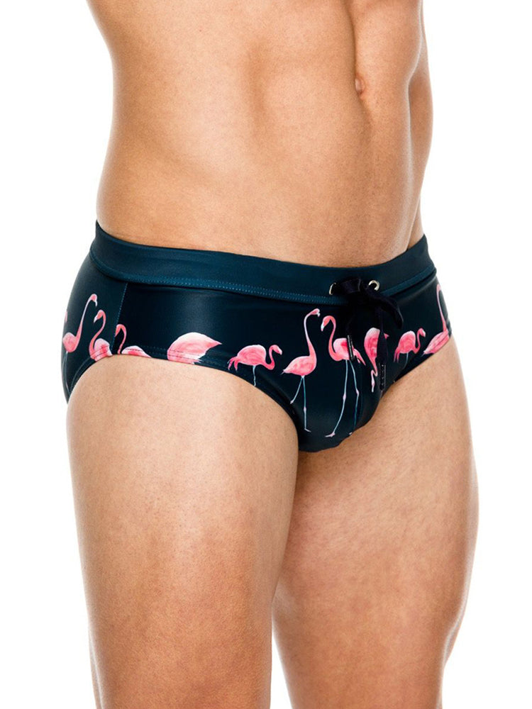 Men's Printed Low Rise Swim Briefs