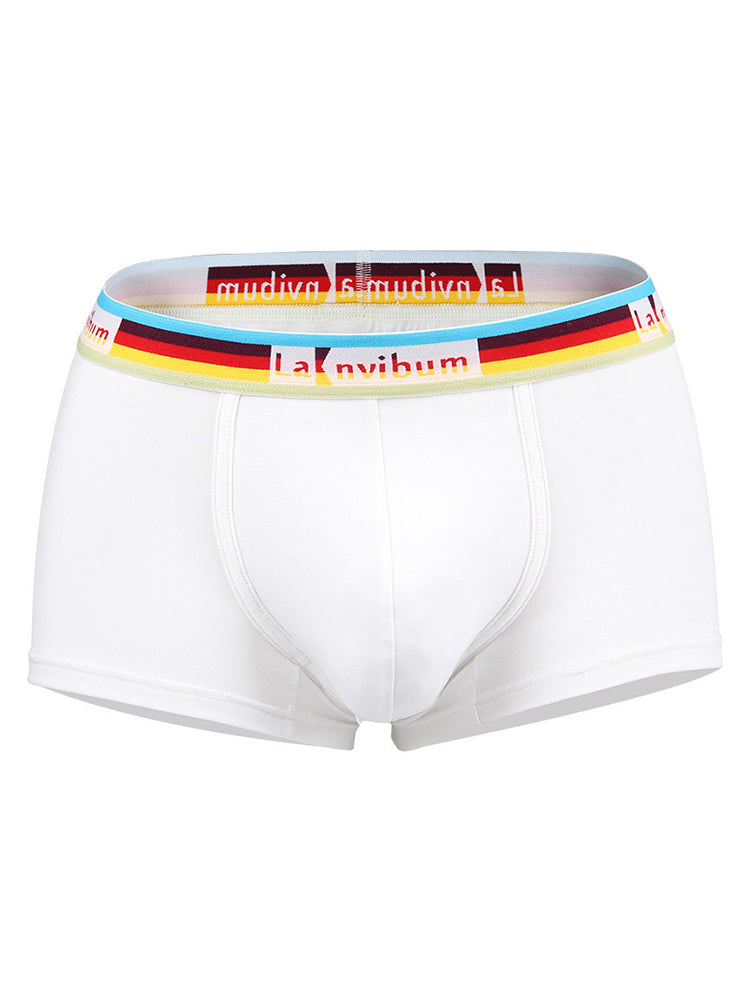 Men's Rainbow Waistband Big Pouch Trunks