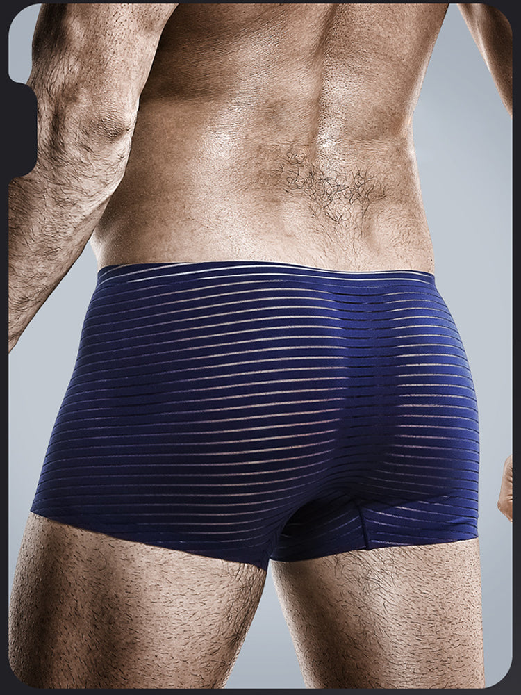 2 Pack Silk Striped Men's Super Thin Underwear