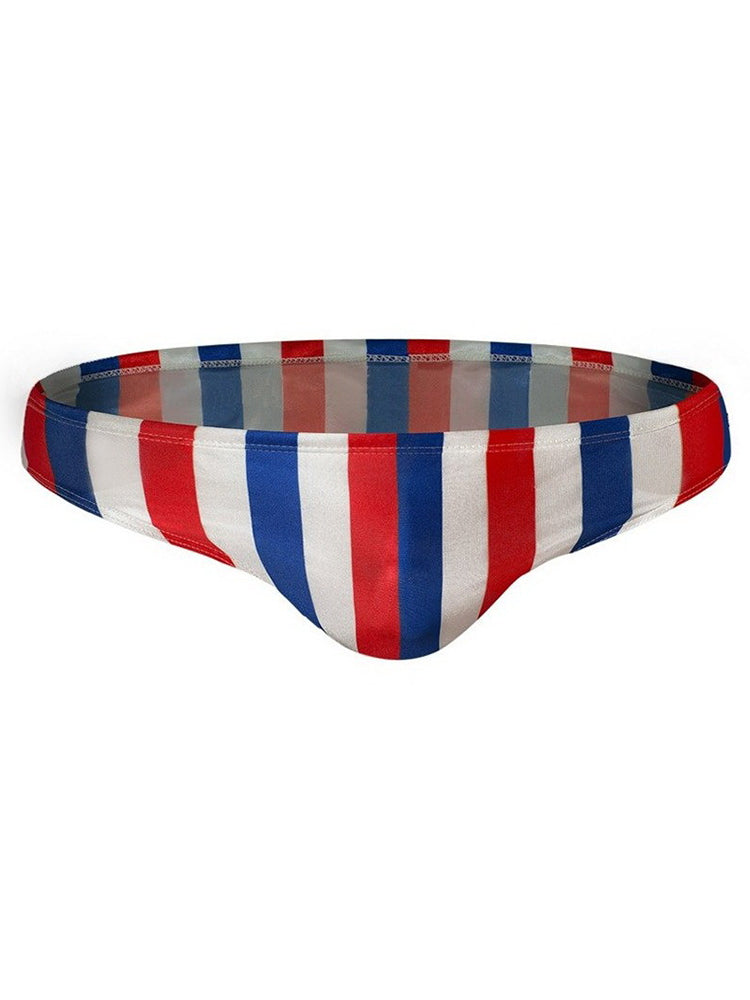 Men's Swimwear Contrast Striped Swim Briefs